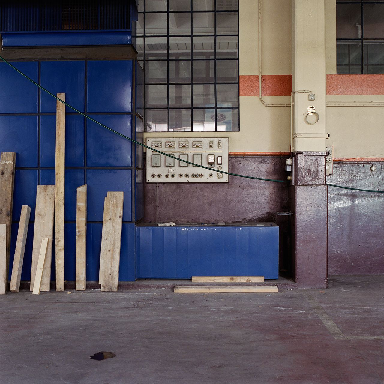 Morel, photo 13