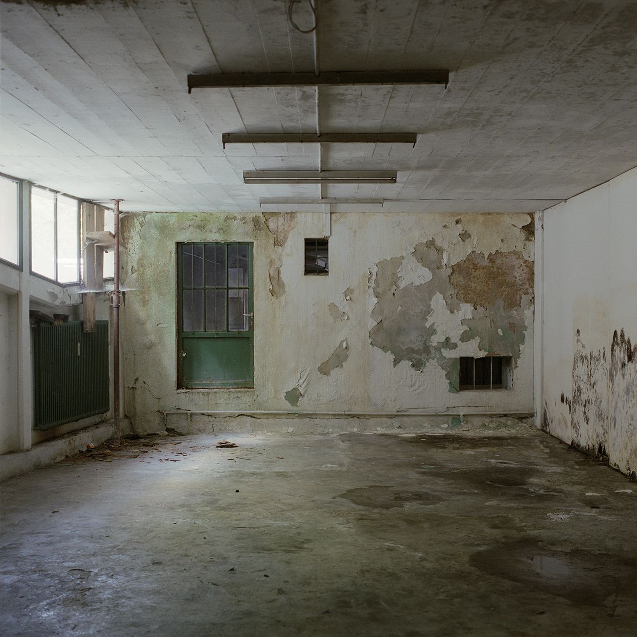 Morel, photo 19